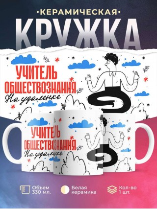 Учитель обществознания на удаленке