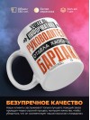 Учитель информатики руководитель отдела хаоса и бардака