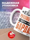 Учитель астрономии руководитель отдела хаоса и бардака