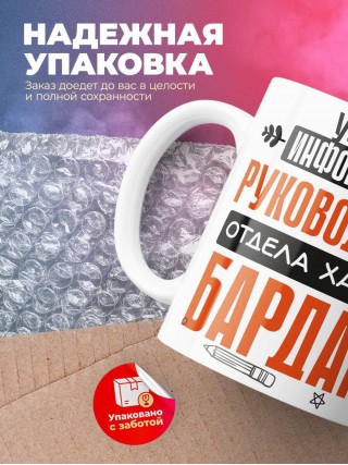 Учитель информатики руководитель отдела хаоса и бардака