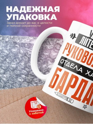 Учитель литературы руководитель отдела хаоса и бардака