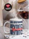 Web программист крутится премия мутится
