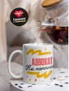 Адвокат на пенсии