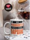 Агент руководитель отдела хаоса и бардака