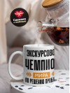 Экскурсовод чемпион мира по решению проблем