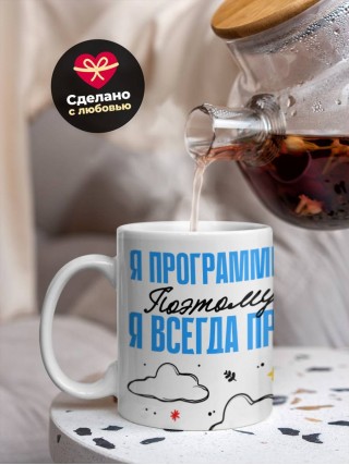 Я программист поэтому я всегда прав