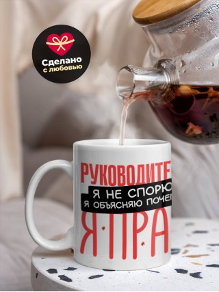 Руководитель я не спорю я объясняю почему я прав