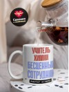 Учитель химии, бесценный сотрудник работает за идею