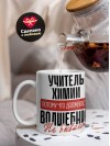 Учитель химии, потому что должности волшебник не бывает