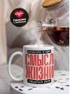 Объясняю в чем смысл жизни тыжучитель информатики
