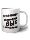 программист которого вы заслужили
