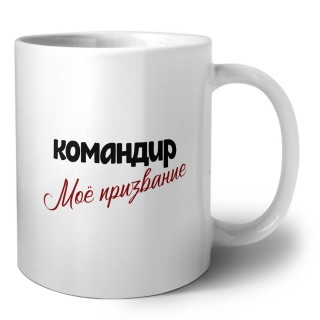 командир моё призвание