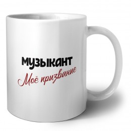 музыкант моё призвание