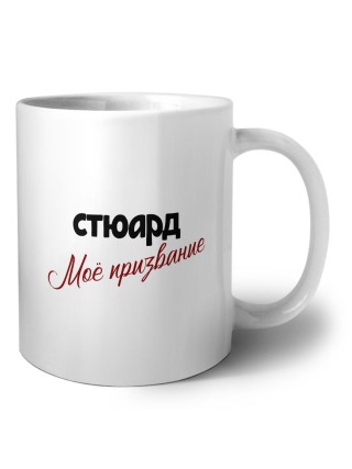 стюард моё призвание