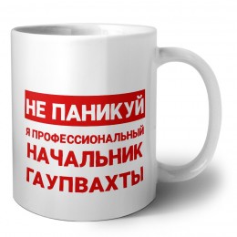 Не паникуй я профессиональный начальник гаупвахты