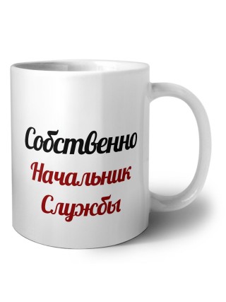 Собственно, Начальник Службы