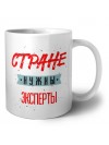 Стране нужны эксперты