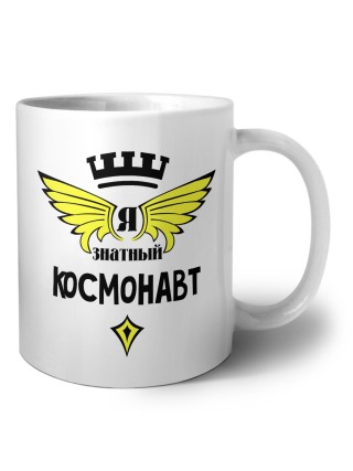 Я знатный космонавт