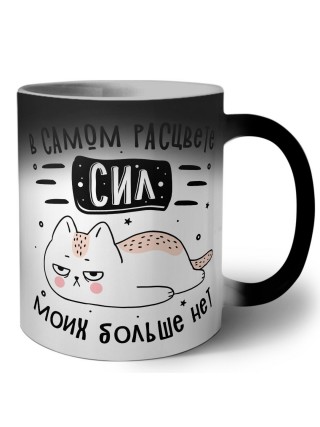 в самом расцвете сил моих больше нет