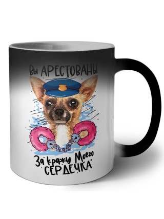вы арестованы за кражу моего сердечка