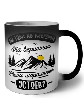 вы там не мерзнете на вершинах своих моральных устоев