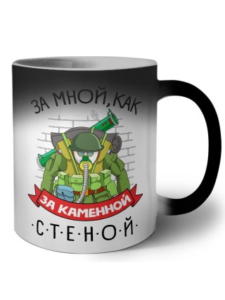 за мной как за каменной стеной