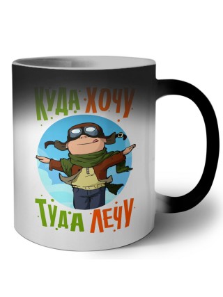 куда хочу туда лечу (1)