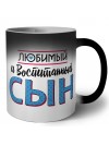 любимый и воспитанный сын