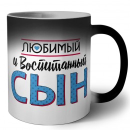 любимый и воспитанный сын