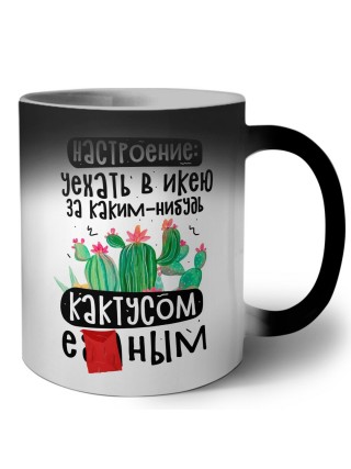 настроение уехать в икею за каким-нибудь кактусом