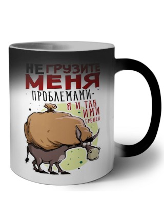 не грузите меня проблемами, я и так ими загружен