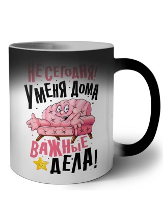 не сегодня, у меня дома важные дела