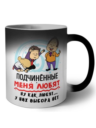 подчиненные меня любят, ну как любят, у них выбора нет