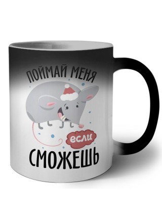 поймай меня если сможешь