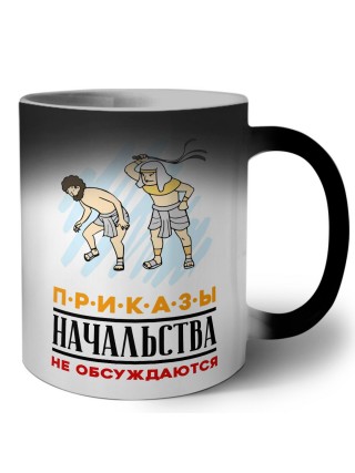 приказы начальства не обсуждаются