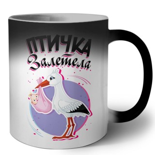 птичка залетела