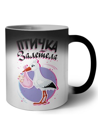 птичка залетела