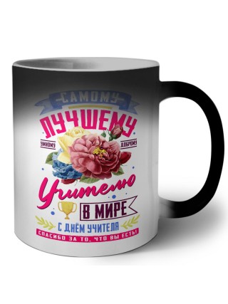 самому лучшему учителю