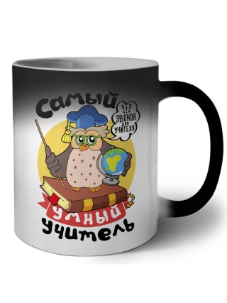 самый умный учитель