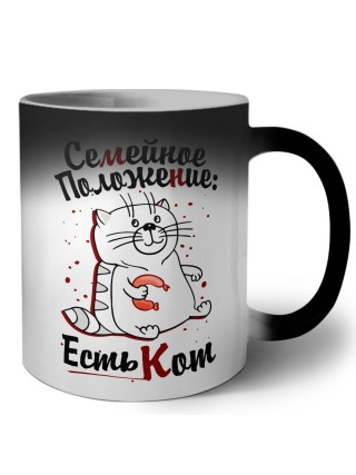семейное положение -  есть кот
