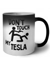 Don't touch my Tesla