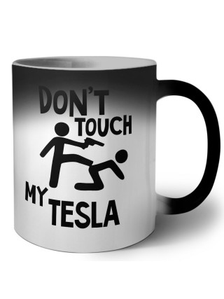 Don't touch my Tesla