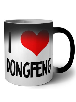 I love DongFeng