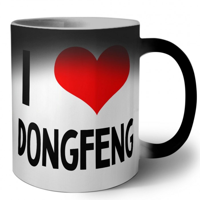 I love DongFeng