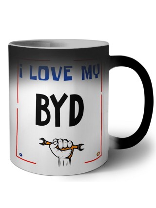 I love my BYD