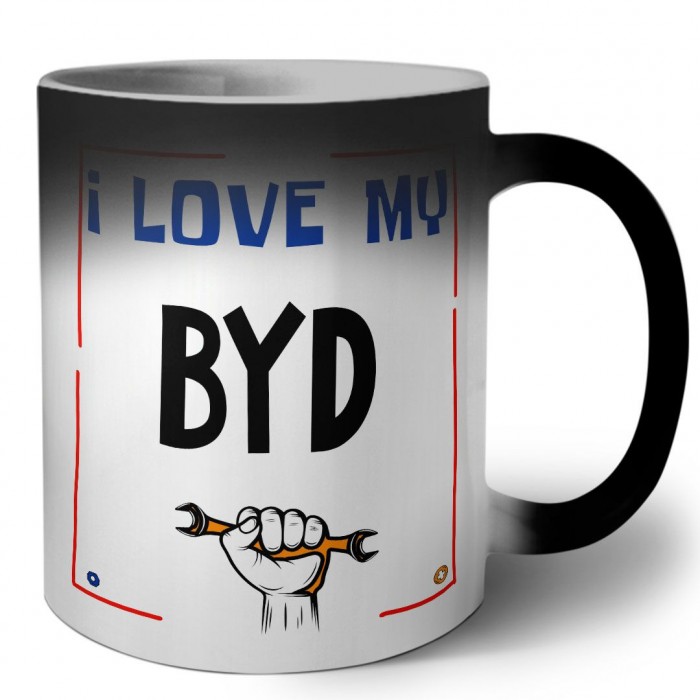 I love my BYD