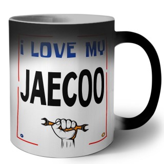 I love my Jaecoo