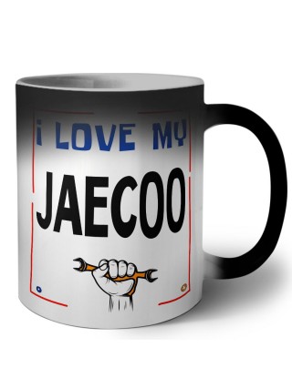 I love my Jaecoo