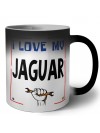 I love my Jaguar