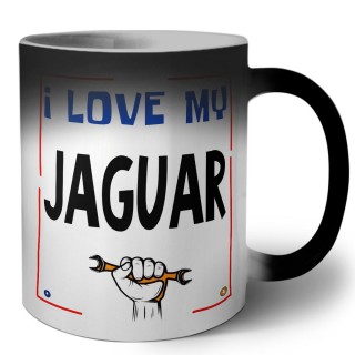 I love my Jaguar